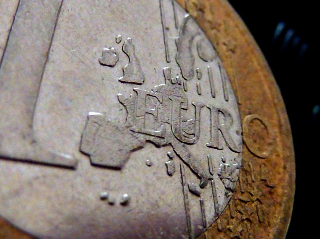 mince, 1 euro – detail